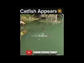 Download Lagu BIG FISH STRIKE 💥 #fishing #silure #catfish #shorts