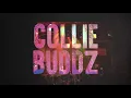 Collie Buddz - Love & Reggae Tour 2018 with SOJA