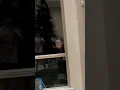 Download Lagu Son tells mom and dad he saw someone scary outside the window #shorts