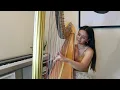 Bridgerton Main Theme - Kris Bowers (Harp Cover)