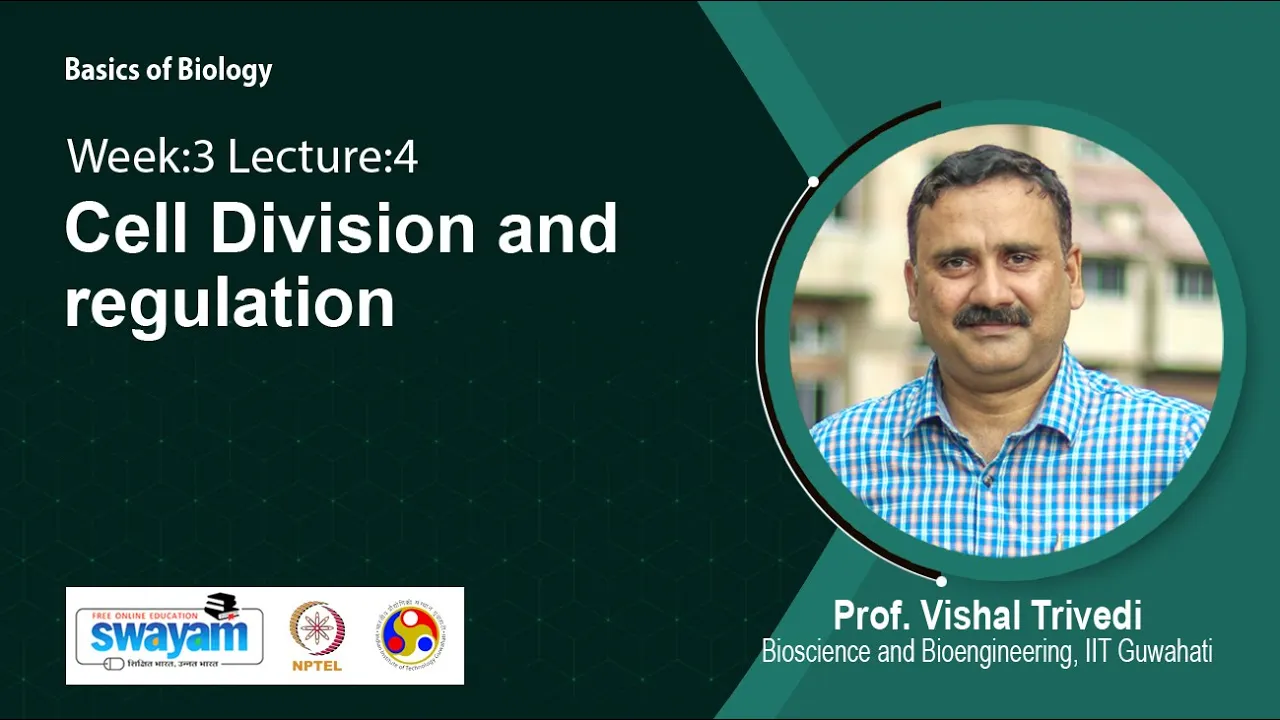 Lec 14: Cell Division and regulation