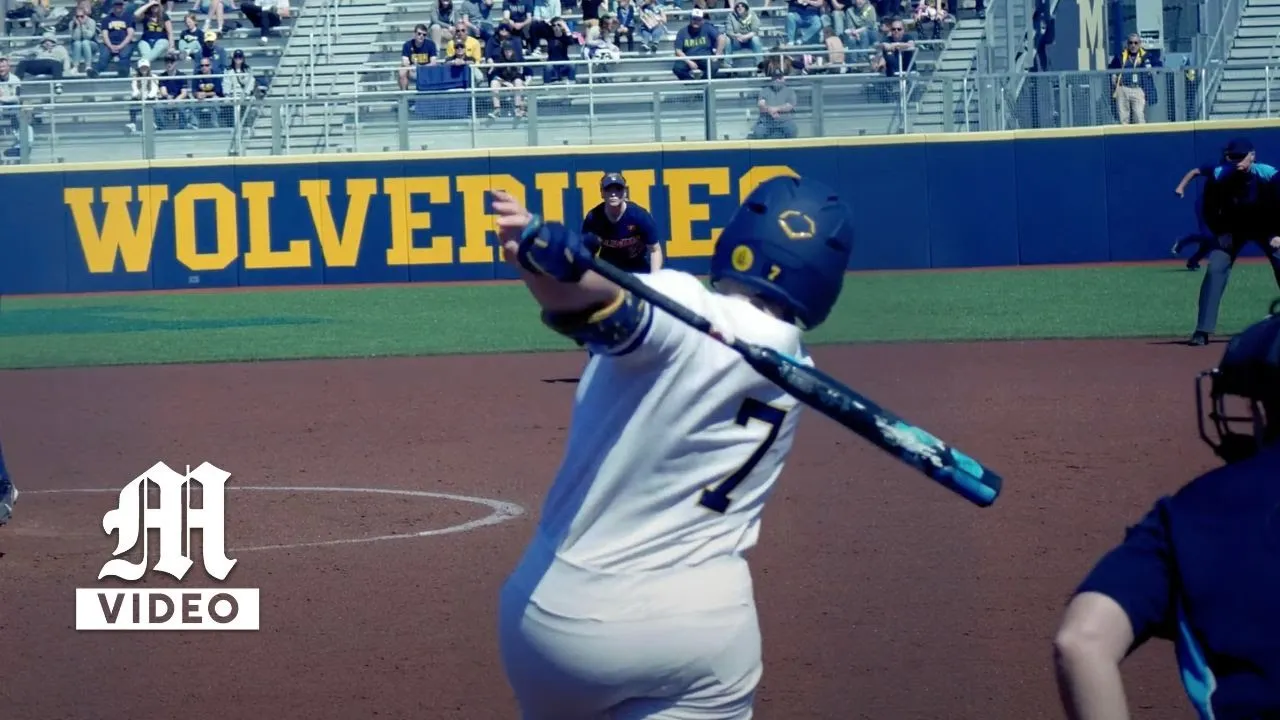 Michigan vs Illinois: College Softball