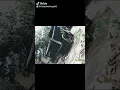 Download Lagu Tiktok