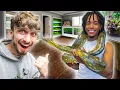 Epic Reptile Room Tour - Jay and Melisa