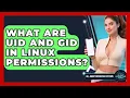 What Are UID And GID In Linux Permissions - All About Operating Systems