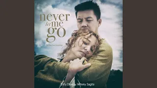 Download Never Let Me Go (Ost. Siapa Takut Orang Ketiga) MP3