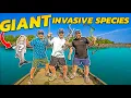 2v2 BOW FISHING Catch Clean Cook CHALLENGE INVASIVE SPECIES