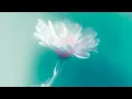 AVAION, oskar med k - Can't Find You (Official Visualizer)
