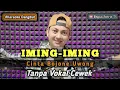 Download Lagu Iming-iming  - karaoke duet tanpa vokal cewek dangdut koplo | Bagus Satria