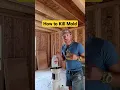 How to Kill Mold