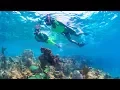 Key West Snorkeling At The Coral Reef With Fury Water Adventures