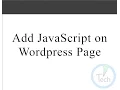 How to add JavaScript on Wordpress Page