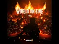 World on Fire