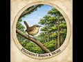 Piedmont Birds More