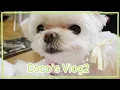 Visiting the Radio Broadcast, Dad's Workplace | CoCo's Vlog2