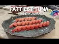 Download Lagu JAPAN BLUEFIN TUNA: Is This The Fattiest Tuna In The World?