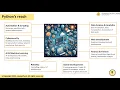 Importance of Python Programming