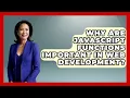 Why Are JavaScript Functions Important in Web Development JavaScript Toolkit News