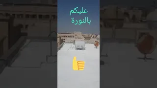 نصيحة بناء إستخدام النورة لعزل الأسطح 