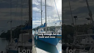 What Sellers Hope You Miss on Sailboats