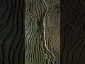 Download Lagu Sapa Rice Fields Vietnam