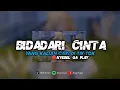Lagu DJ BIDADARI CINTA - YANG KALIAN CARI // PALING ENAK 