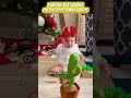 Ranking Best Babies Cactus Toys Funny s