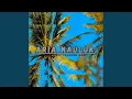 Download Lagu Aria Nauluk (Malagay)