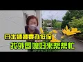 Download Lagu 【日本生活】日本婆婆申請低保 ，找外國媳婦幫忙I  Reaction Video