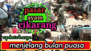 Download pasar ayam cikarang update harga menjelang bulan puasa MP3