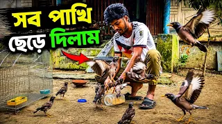 সব শালিক ছেড়ে দিলাম! তারপর যা হলো 😱🐦