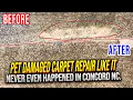 Pet Damaged Carpet Repair Like It Never Even Happened In Concord Nc