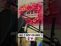 Download Lagu Jozi Piano Music Featuring Various Artists #2025 #newmusic #amapiano