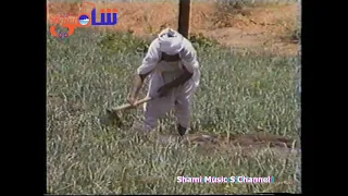 عبدالمنعم عبدالفارس حلاة بلدي  عبدالمنعم عبدالفارس حلاة بلدي