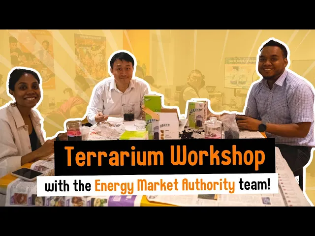 The Energy Market Authority team at their terrarium workshop