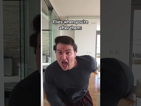 Flies When You're After Them VS When You Ignore Them.