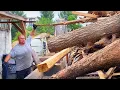 The Best Timber Tamer in Eastern Europe