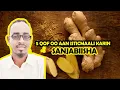 Download Lagu 5 QOF OO AAN SANJABIISHA ISTICMAALI KARIN