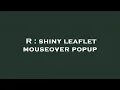 R shiny leaflet mouseover popup