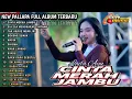 New pallapa full album terbaru || cinta merah jambu sia-sia mengharap cintamu tak harus memiliki