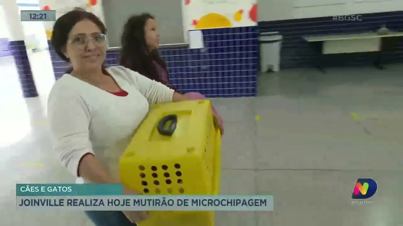 Joinville realiza mutirão de microchipagem