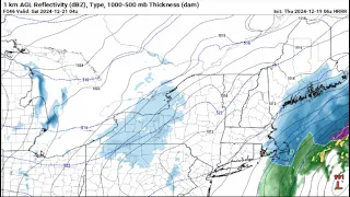 Live From Cape Cod December Green Grass Maybe White By Saturday