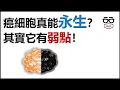 Download Lagu 癌細胞真的能永生？其實它也有弱點！