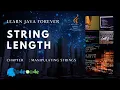 Program to find length of a string in java string length
