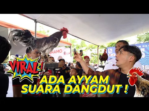 Download MP3 BARU TAU GUE ADA AY4M SUARA DANGDUT DAN POP...UNIK BANGET !!!