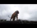 Download Lagu jungle jungle baat chali hai old song HQ/HD mixing - jungle book 2016 fan made