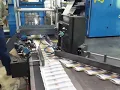 Raleigh split stream 30 seconds