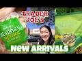 Shop with me Trader Joe s New Arrivals March Trader joe s spring items