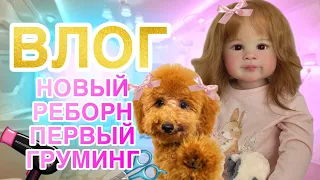 ВЛОГ Первая стрижка Моники | Новая кукла реборн Зива | Отправка реборна Бетти | ДР Олеси!