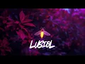 Caleb Laurenson x Danny P - Show Me (Unreleased)